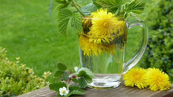 プロが教える、庭の花を長持ちさせる切花のコツと育て方